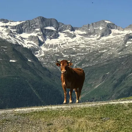 Le Refuge 66
