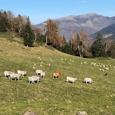 Le Refuge 66 Apartmán